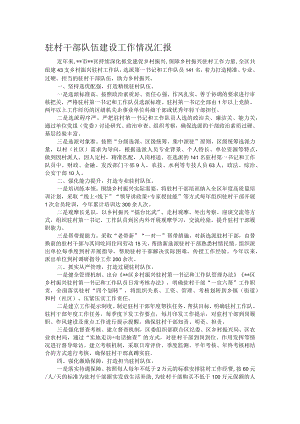 驻村干部队伍建设工作情况汇报.docx