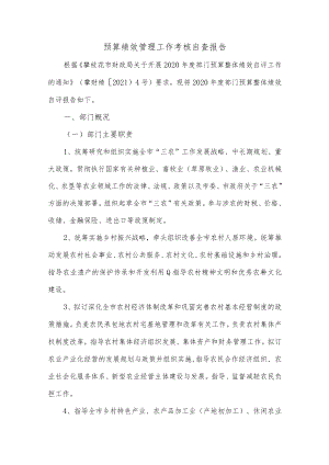 预算绩效管理工作考核自查报告.docx