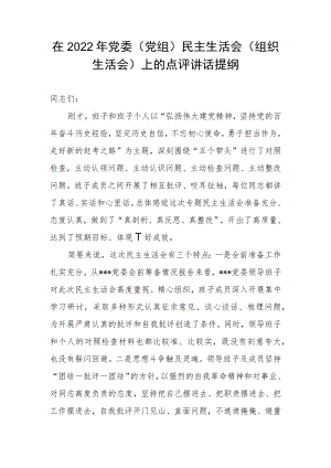 在2022年党委（党组）民主生活会（组织生活会）上的点评讲话提纲.docx