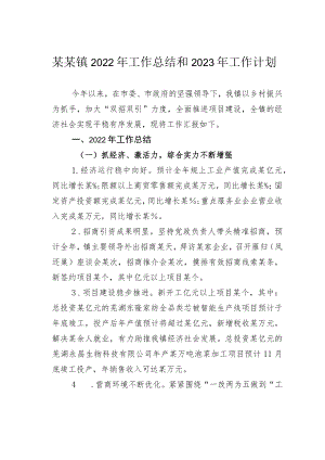 某某镇2022年工作总结和2023年工作计划.docx