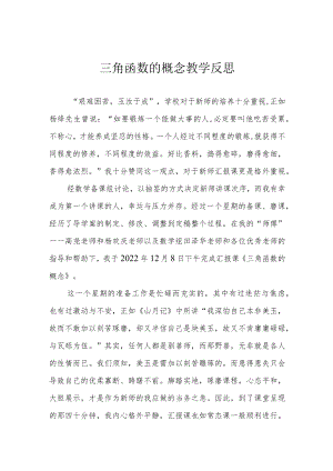 三角函数的概念教学反思.docx