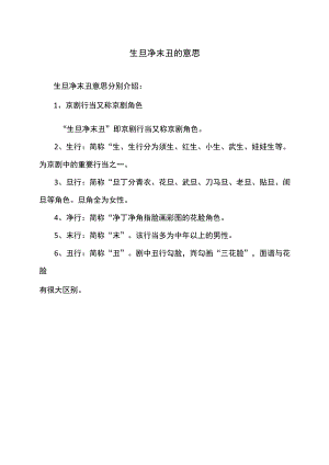 生旦净末丑的意思.docx