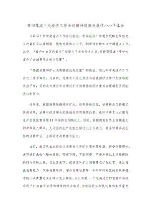 贯彻落实中央经济工作会议精神提振发展信心心得体会.docx
