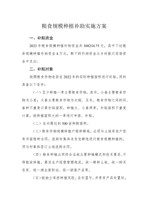 粮食规模种植补助实施方案.docx
