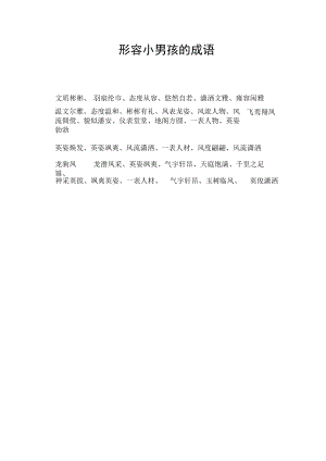 形容小男孩的成语.docx