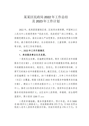 某某区民政局2022年工作总结及2023年工作计划.docx