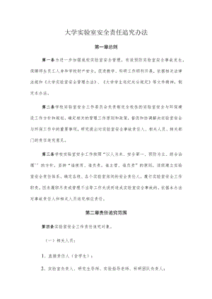 大学实验室安全责任追究办法.docx