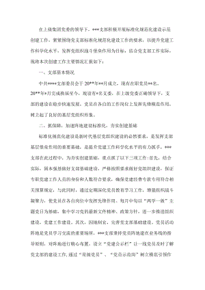 基层党支部标准化规范化建设情况汇报.docx