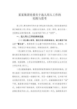 某某集团党委关于选人用人工作的实践与思考.docx