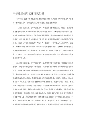 干部选拔任用工作情况汇报.docx