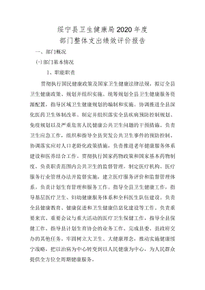 绥宁县卫生健康局2020年度部门整体支出绩效评价报告.docx