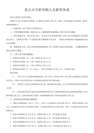 某公司专职导购人员薪资方案.docx