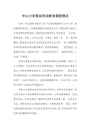 中心小学落实劳动教育课程情况.docx