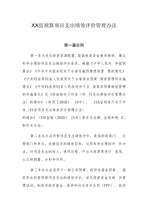 XX县预算项目支出绩效评价管理办法.docx