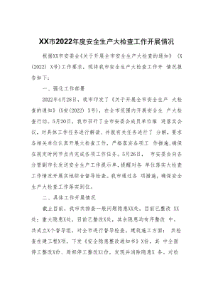XX市2022年度安全生产大检查工作开展情况.docx