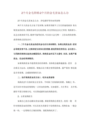 2个月金毛四顿-2个月的金毛贫血怎么办.docx