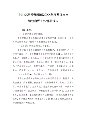 中共XX县委组织部20XX年度整体支出绩效自评工作情况报告（20220616）.docx