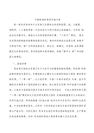 中缅陆海新通道实施方案.docx