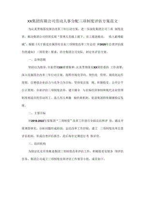 XX集团有限公司劳动人事分配三项制度评估方案范文.docx