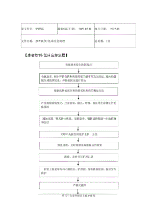 2022年9月《患者跌倒、坠床应急流程》.docx