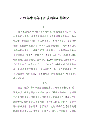 2022年中青年干部谈培训心得体会四篇.docx