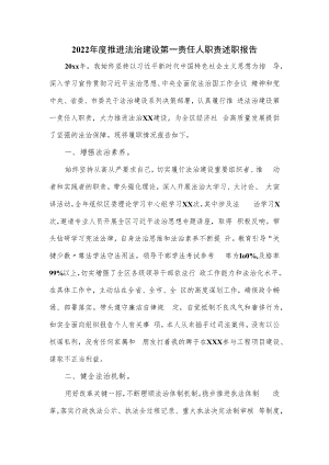 2022年度推进法治建设第一责任人职责述职报告优选.docx