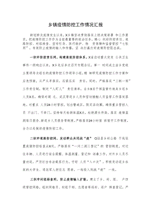 乡镇、村疫情防控工作情况汇报2篇.docx