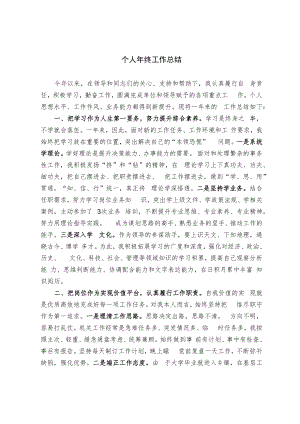个人年终工作总结（范文）.docx