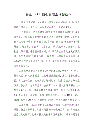 “共富三法” 探索共同富裕新路径.docx