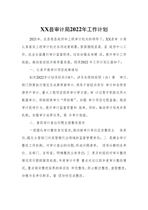 XX县审计局2022年工作计划.docx