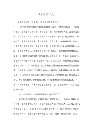 1个月贵宾犬.docx