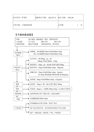 2022年9月《子痫抢救流程》.docx