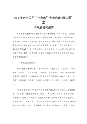 xx工业大学关于“小金库”专项治理“回头看”工作开展情况报告.docx