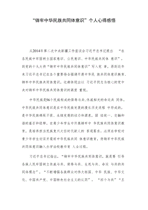 “铸牢中华民族共同体意识” 个人心得感悟.docx