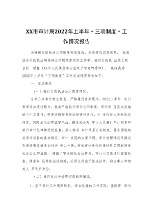 XX市审计局2022年上半年“三项制度”工作情况报告.docx