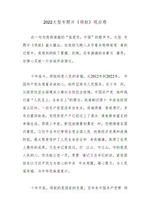 2022大型专题片《领航》观后感.docx