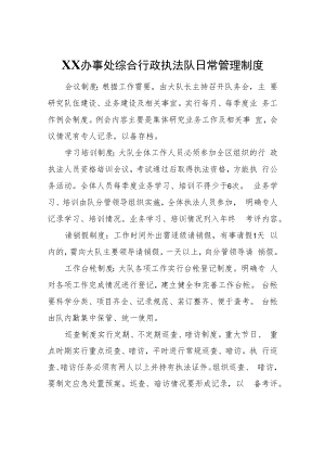 XX办事处综合行政执法队日常管理制度.docx