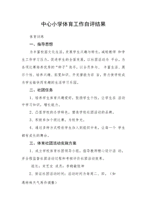 中心小学体育工作自评结果.docx