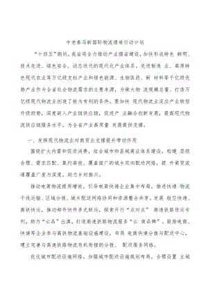 中老泰马新国际物流通道行动计划.docx