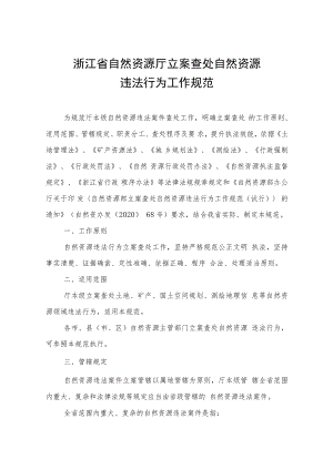 《浙江省自然资源厅立案查处自然资源违法行为工作规范》.docx