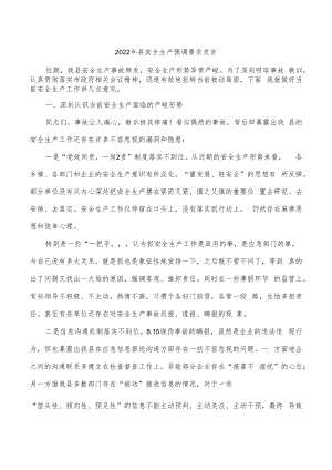 2022年县安全生产强调要求发言.docx