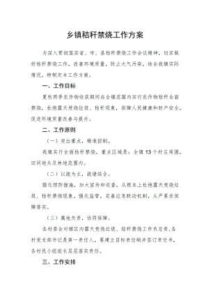 乡镇秸秆禁烧工作方案.docx