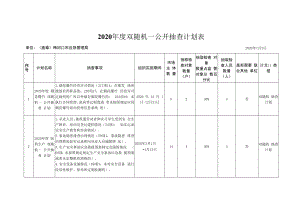 2020年度双随机一公开抽查计划表.docx
