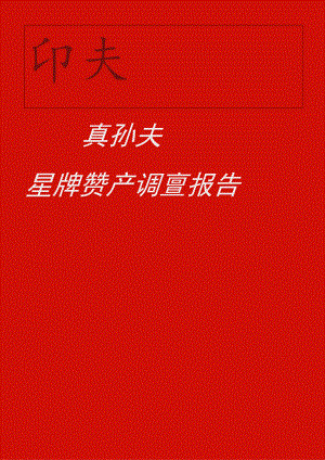 zgf战略品牌管理报告P15.docx