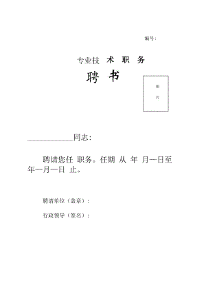 专业技术职务聘书（模版）.docx