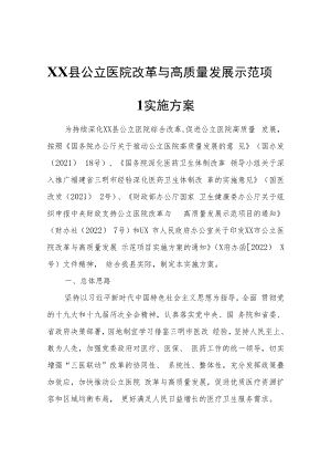 XX县公立医院改革与高质量发展示范项目实施方案.docx