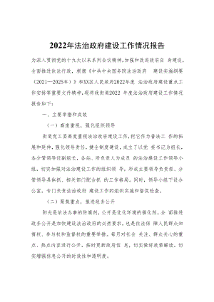 2022年法治政府建设工作情况报告.docx