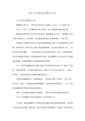 4个月大的金毛喂什么好.docx
