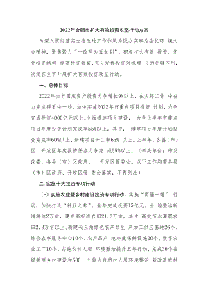 2022年合肥市扩大有效投资攻坚行动方案.docx