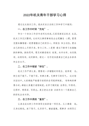 2022年机关青年干部学习心得.docx